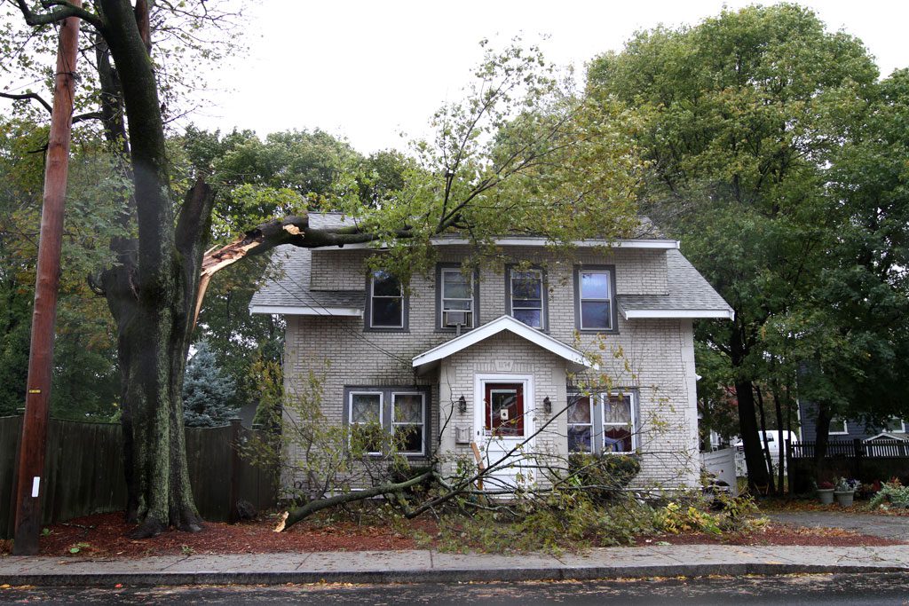 A TREE LIMB crashed down onto the roof of this Franklin Street home during a vicious storm Oct. 22 and 23. (Donna Larsson Photo)