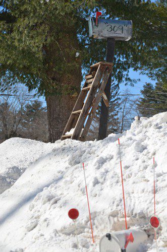 WE SUSPECT Park St. resident Barry Lombard is expressing a wry commentary on the Winter of 2017 by placing this mailbox about eight feet in the air. Either that, or his mailman is LeBron James. (Kathi Lee Photo)