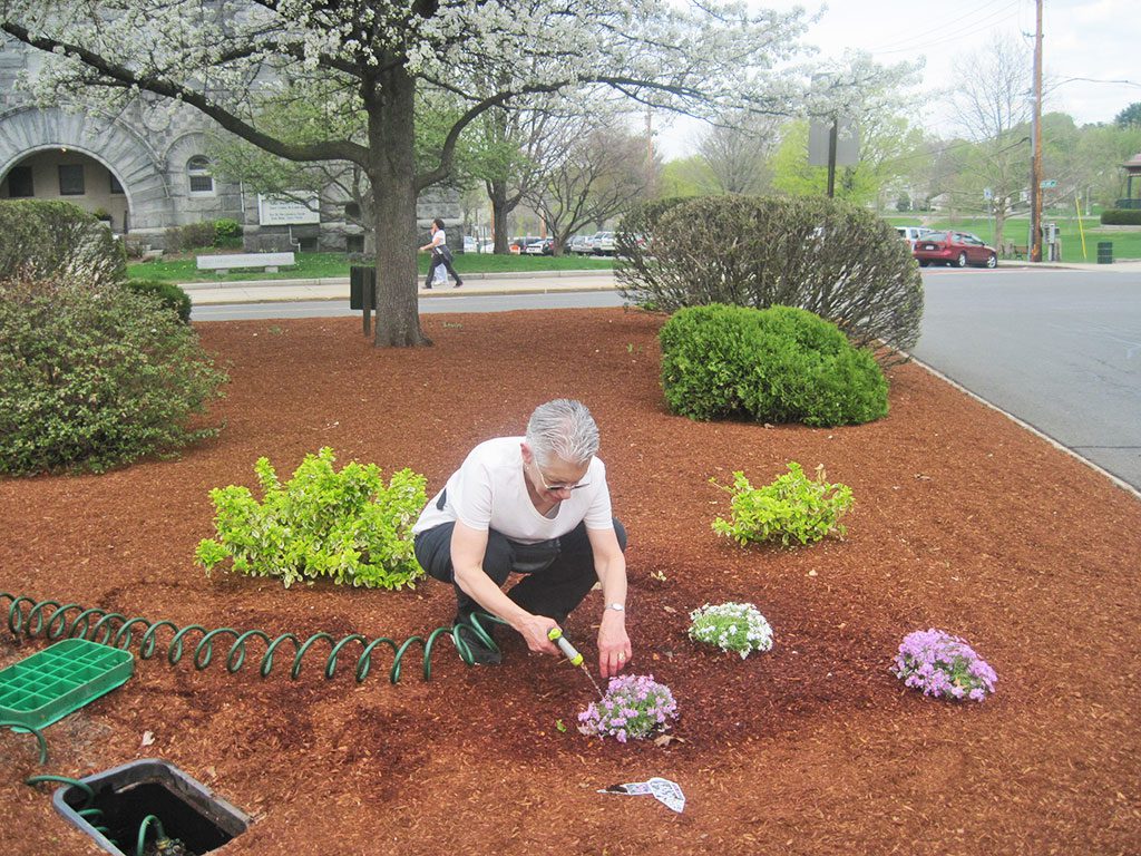 WAKEFIELD resident Susan Hochberg was busy planting flowers at the plot of land sponsored by the MacDonald Funeral Home for Pride in Wakefield. The garden sits across from the First Congregational Church on Church Street. (Gail Lowe Photo)