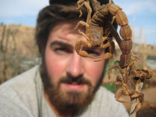 IF YOU build it, they will come is a saying that applies to both predator and prey. Corey Dolbeare soon discovered that predators, like this scorpion, thrived in the garden ecosystem he created from the once barren, unused space in the village of Goudoude in Senegal. 