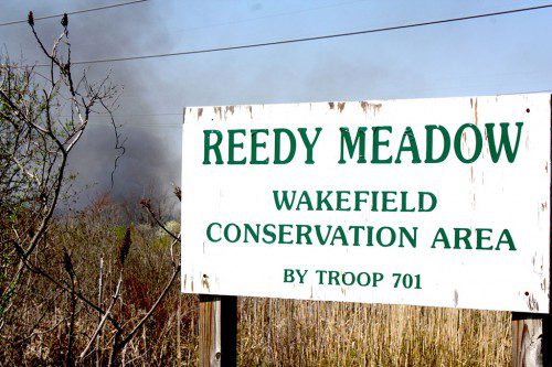 SIXTY FIVE ACRES burned yesterday in Reedy Meadow. Crews from at least 11 departments, including Wakefield, battled the massive brush fire. (Maureen Doherty Photo)