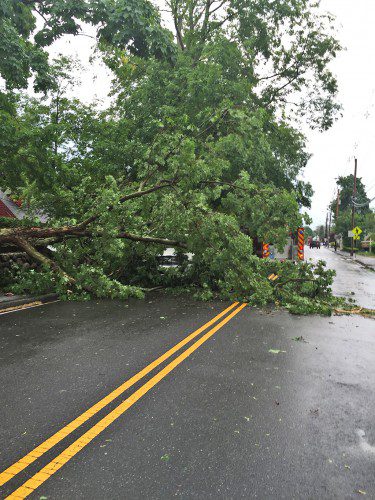 THE TWO occupants of this vehicle on Salem Street were lucky to escape unharmed after a tree and live wires fell on top of it during a suspected microburst May 28. (Fire Department Photo)