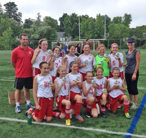 THE MYSL Commissioner's Cup winning Melrose U-12-1 team: top row l-r Coach Jeff Donahue, Grace Donohue, Maddie Turner, Kate Story, Deirdre Flanagan, Emily Crovo, Andrea Mortimer, Coach Tina Champagne, Bottom row l-r Courtney Casey, Alyssa Champagne, Ella DeCecca, Jenna Champagne, Ella Fleming, and Shelley Donahue. (courtesy photo)