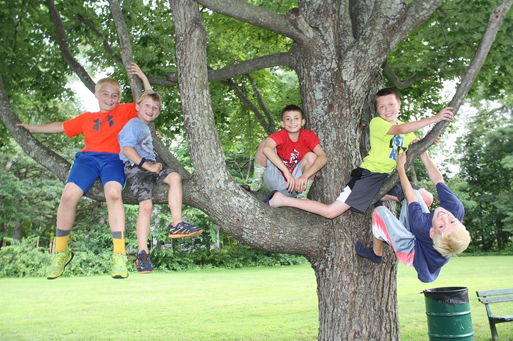 HANGING with friends in a tree that's simply perfect for climbing during a recent Concert on the Common are buddies (from left): Jack Mallett, 11, Lucas Deraps, 6, Jack Phelps, 11, Brian Ellis, 11 and Ben Deraps, 11. (Maureen Doherty Photo) 
