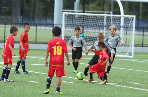 SEVERAL players of the Wakefield Warriors U10 boys’ soccer team (gray uniforms) battle for a loose ball during a recent soccer friendly against the Chenzhen Randall Football Club from China. The Lynnfield Avengers and North Reading Stingers also took part in the event which was held last weekend at Lynnfield High School. (Donna Larsson Photo)