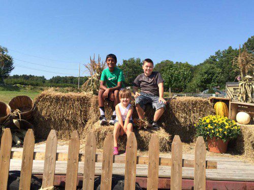 AJAY HARRIDASSE and Brandin and Anna Bingham of Wakefield went to their favorite apple farm, Smolak Farms in North Andover, last Wednesday, Sept. 16. 
