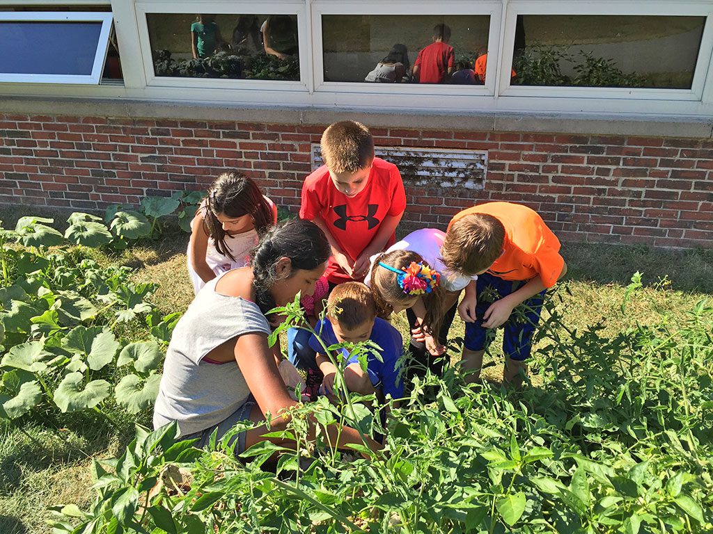 THIRD GRADERS, from left, Aanya Gupta, Greg Benedetto, Gabriella Bottaro, Kye Smyrnios and Gavin DeLuties check out some fresh produce at the new Huckleberry Hill School garden. (Courtesy Photo)