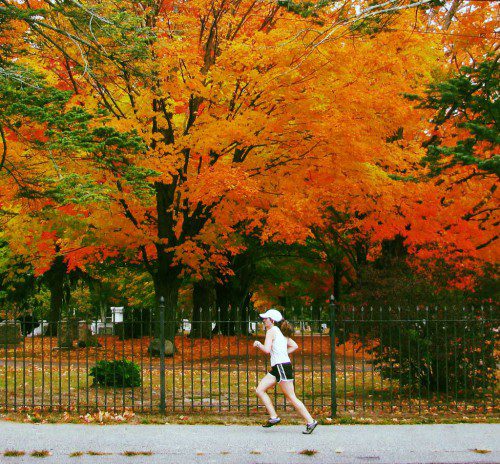 THIS RUNNER on North Avenue seems oblivious to the blaze of color in the trees of Lakeside Cemetery. (Mark Sardella Photo)