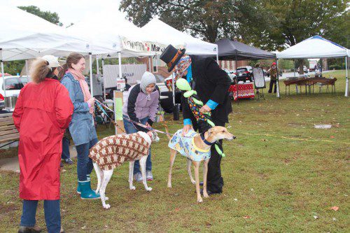 WAKEFIELD’S AWARD-WINNING farmers market has only a couple of Saturdays to go, and when it closes for the season we will miss scenes like pets mingling with balloon artists in Hall Park. (Donna Larsson Photo)