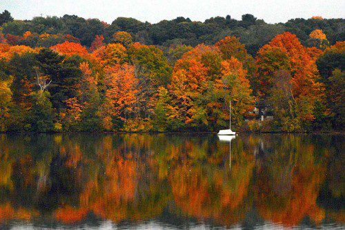 A SAILBOAT sits still recently on a quiet Lake Quannapowitt as the foliage continues toward prime peak. (Robert G. Pushkar Photo)