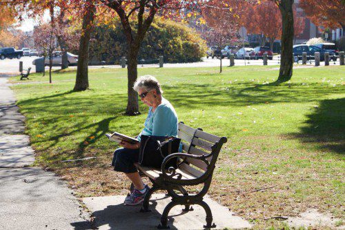 JANET DAWE relaxes with a good book during a beautiful Indian summer day recently on the Veterans Memorial Common. (Donna Larsson Photo)