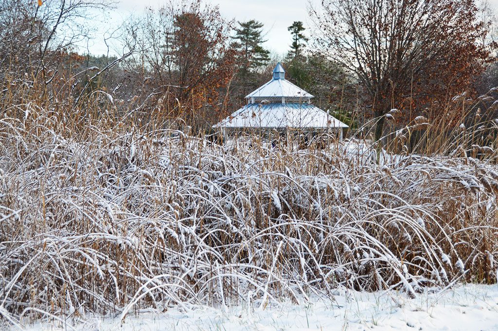 THERE HASN’T BEEN MUCH SNOW so far this winter, but it didn’t take much to create this winter scene at Ipswich River Park. (Bob Turosz Photo)
