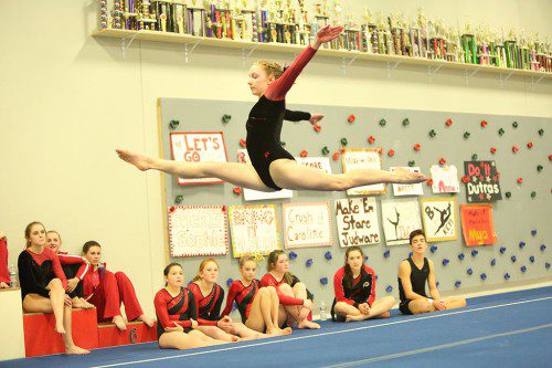 THE MELROSE Lady Raider gymnastic team earned a MIAA North Sectional appearance after another flawless season. (Donna Larsson photo) 