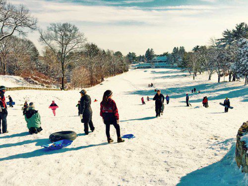 THE BEAR HILL Country Club was bustling with activity as townspeople took advantage of perfect sledding conditions. (Colleen Riley Photo)