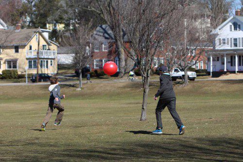 WHEN IT COMES TO chasing a giant red ball around the Common, two can play at that game. (Donna Larsson Photo)