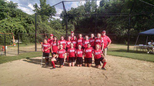 THE 2016 Wakefield Major Little League Softball All-Stars were the District 13 runner-up to Woburn. The team had a great showing and their final game was played over the course of two days and lasted a total of 10 exciting innings. In the front row (from left to right) are Taylor Vater, Bridget Santos, Kaylee O'Rourke, Alexandra Bernardinelli and Allida Kelliher. In the back row (from left to right) are Elisabeth Laboy, Coach Ismael Laboy, Nicole O'bear, Nora Hagopian, Charlotte Rossicone, Coach Bruce O'Rourke, Felicia D'Allessandro, Alyssa Grossi, Isabella Zullo, Amelia Galvin, Nora Leach and Coach Brett Rossicone.