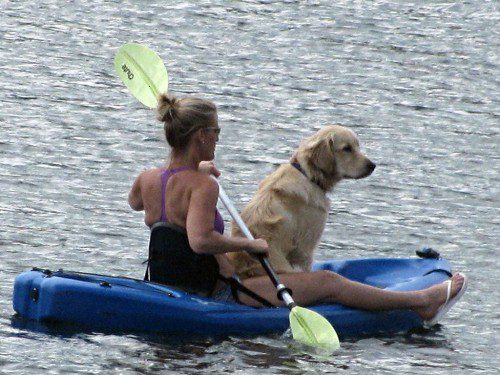 A HEAT WAVE is the perfect time to spend an afternoon on the water with your best friend. (Mark Sardella Photo)