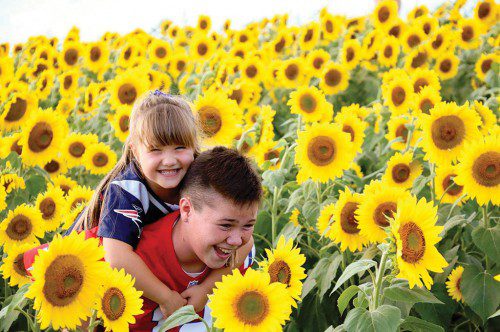 BRANDIN AND ANNA Bingham of Wakefield loved the family's visit to Colby Farm in Newbury recently. The rows of sunflowers certainly were impressive and made for a great backdrop. (Photo by Krystn Cinelli for K. Marie Photography of NH)