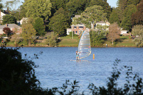 NOTHING BUT the wide expanse of Lake Quannapowitt is ahead of this wind surfer on recent Saturday. (Donna Larsson Photo)