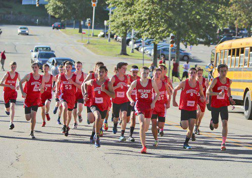 THE WMHS boys' cross team raced to a 23-37 victory over Melrose yesterday on the Shaun Beasley Course to take sole possession of first place in the Middlesex League Freedom division. (Donna Larsson Photo)