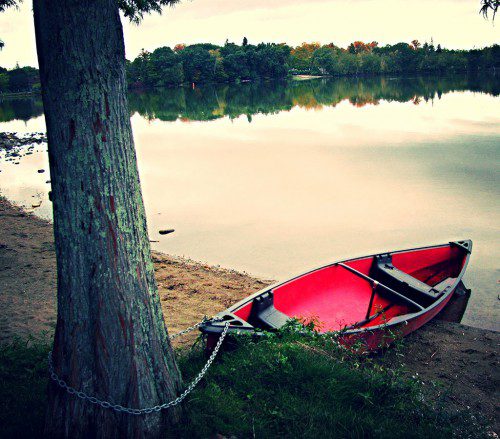 A RED CANOE on the shore of Lake Quannapowitt is chained to a tree on the Common. (Mark Sardella Photo)