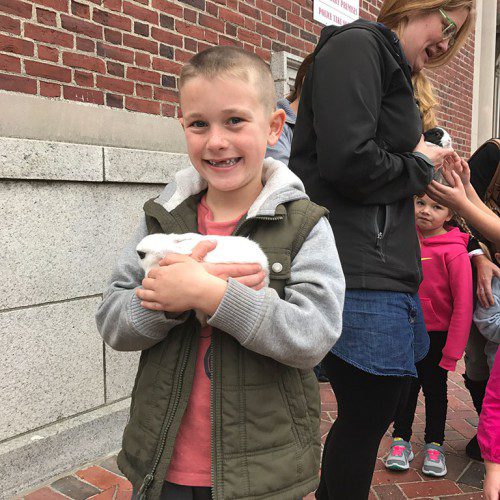 THE BEEBE LIBRARY recently hosted a young animals program. In one photo, Max Skobe of Wakefield holds a baby rabbit from Lakeside Acres Farm in Hopkinton. Farmer Chris Casella also brought a brand new (just two days old!) calf to visit the Main Street Plaza.