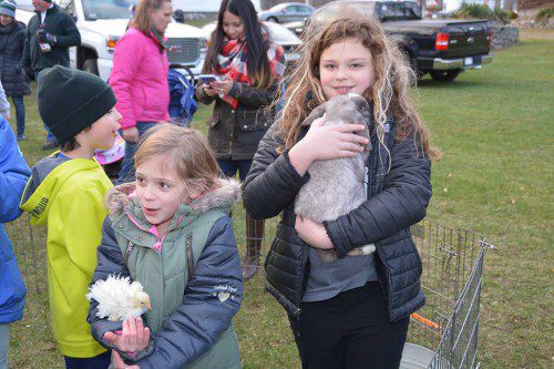 A NEW FEATURE this year at the Chamber of Commerce Holiday Tree Lighting was a children's petting zoo. Above, Avery Carroll, 6, makes her acquaintance with a baby chick while Kaleah McDevitt, 10, hugs a bunny. (Bob Turosz Photo)