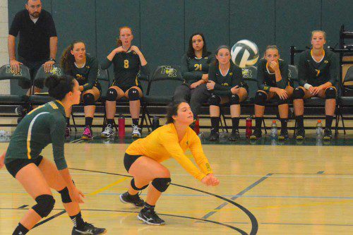 CAL FIRST TEAM ALL STAR Jenna Forcellese digs the ball before it hits the floor. The junior libero led the team in digs and had the team’s highest passing rating. (Transcript File Photo)
