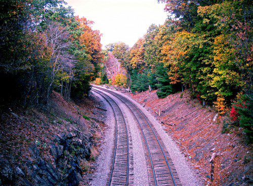 THE VIEW looking north from the Cooper Street Bridge in Greenwood shows foliage along the commuter rail tracks is hitting its peak. (Mark Sardella Photo)