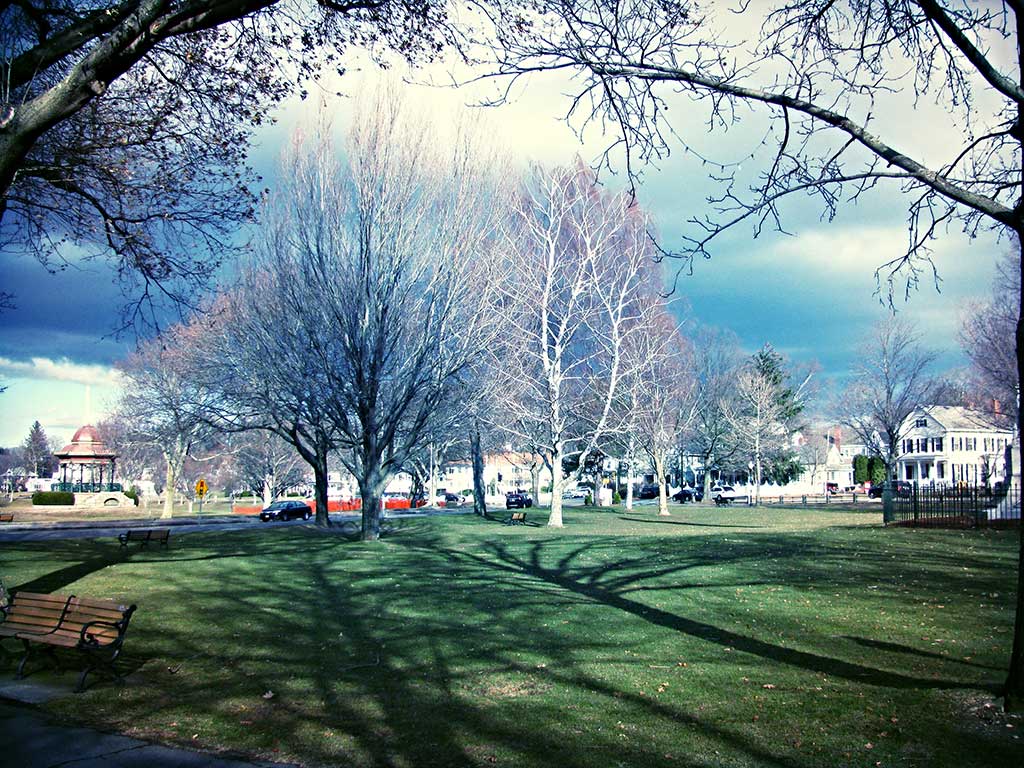 THE WINTER SUN casts long shadows through bare trees on Veterans Memorial Common. (Mark Sardella Photo) 