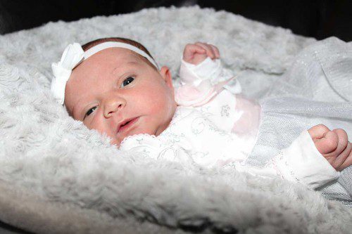 MINA CATERINA LEACH is only the second baby to be born on New Year’s Day during the first decade of the Lynnfield Villager’s First Baby of the New Year contest. Also holding that honor is Elizabeth Lee Riester, born on Jan. 1, 2013. (Maureen Doherty Photo)