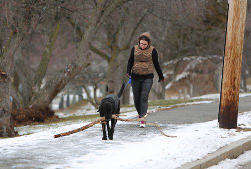 THIS PET got in plenty of exercise over the New Year’s holiday weekend.  (Donna Larsson Photo)