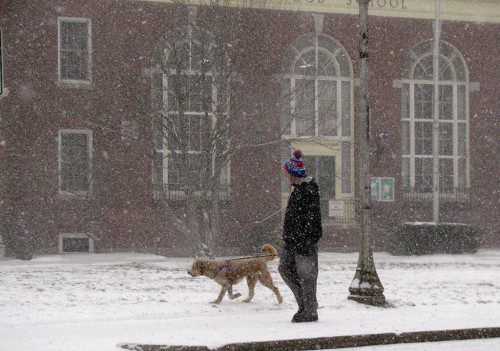 A LITTLE SNOW wasn’t about to stop this man and his dog from taking a walk past the Greenwood School on Saturday. (Mark Sardella Photo)