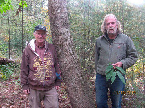 Mark Meehl (left) and Dave Lent discuss ongoing efforts to restore the American Chestnut Tree population, Thursday, Feb. 9 at 7 p.m. at Flint Memorial Library. (Courtesy Photo)