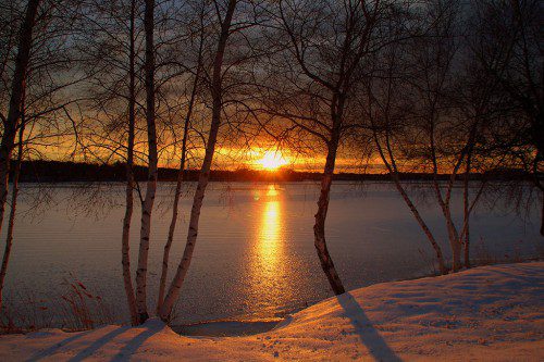 THE TALENTED Leonard Malvone took this shot of the sun setting through some birch trees on Lake Quannapowitt last week. 