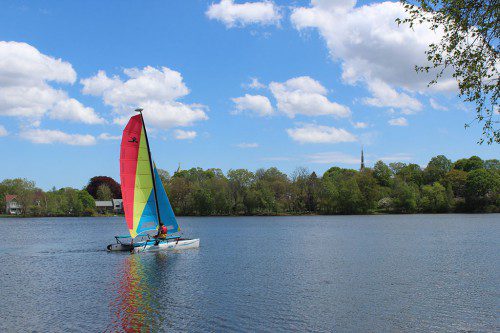 THE SKIPPER OF this catamaran glides across the smooth surface of Lake Quannapowitt recently. (Colleen Riley Photo)