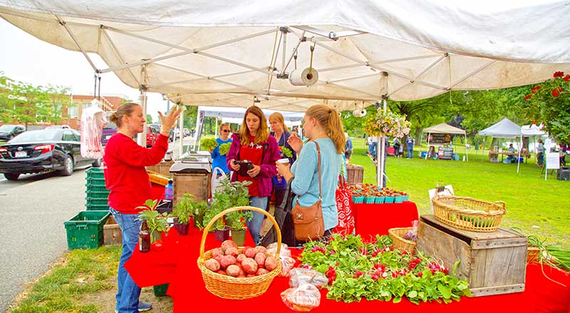 Heads up for a fresh season: Discover the farmers and produce at the 2024 Wakefield Farmers Market on June 15!