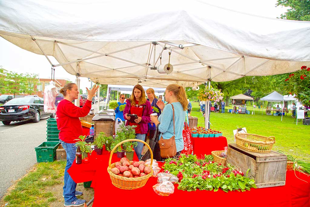 THE AWARD-WINNING Wakefield Farmers Market is off and running for the 2017 season. It is open from 9 a.m. to 1 p.m. in Hall Park each Saturday through October 14. (Donna Larsson Photo)