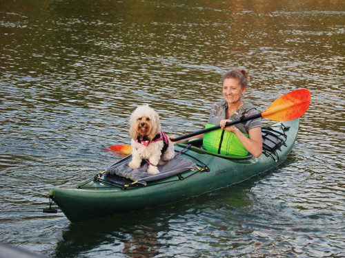 NORTH READING Middle School teacher Laura Wall and Lily, her dog, have enjoyed kayaking together this summer. (Virginia Bowers Photo)