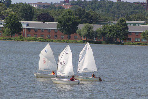YOUNGSTERS are learning the art of sailing under the tutelage of the Quannapowitt Yacht Club. (Maureen Doherty Photo)