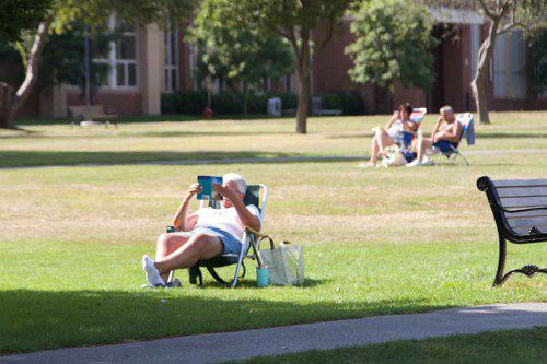 HALL PARK IS A great place to put down a chair and dig into a good book. (Donna Larsson Photo)