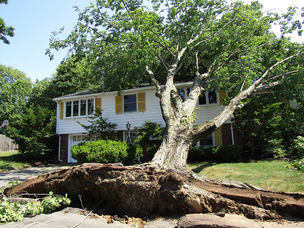 Did you incur damage from recent severe storms? MEMA may be able to help