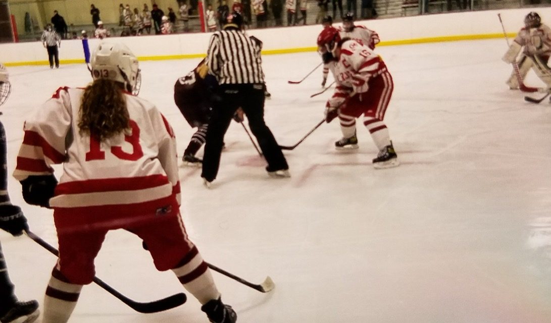 A season of small victories for girls’ hockey
