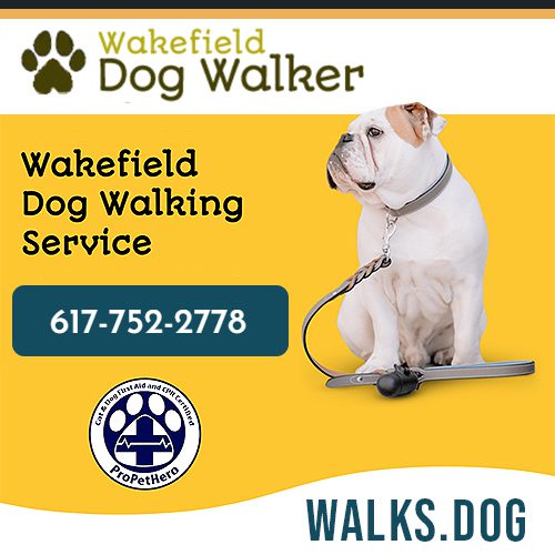 Wakefield, Ma Dog Walking Service