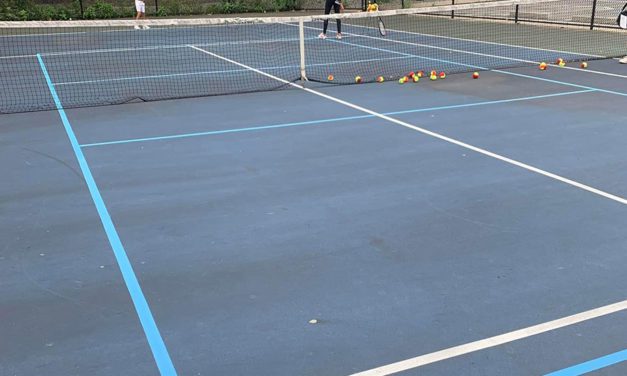 Pickleball continues to gain popularity locally and nationally