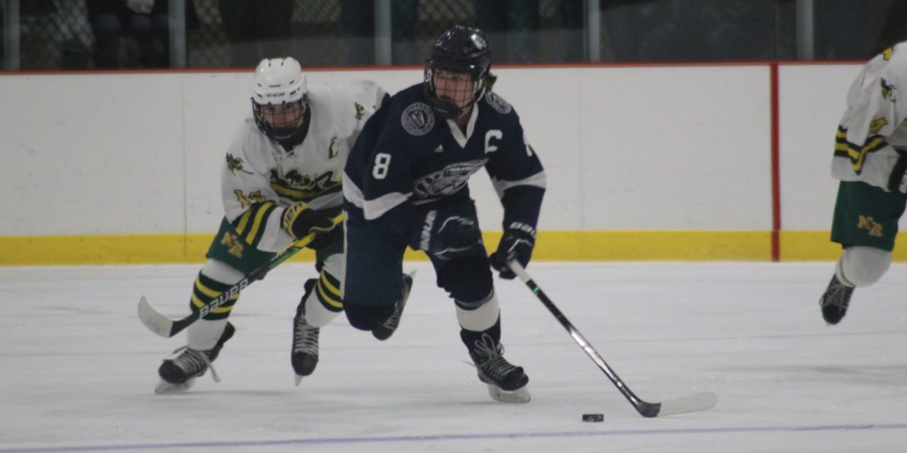 Gardner gets 100th win, Damiani, 100th point for LHS hockey
