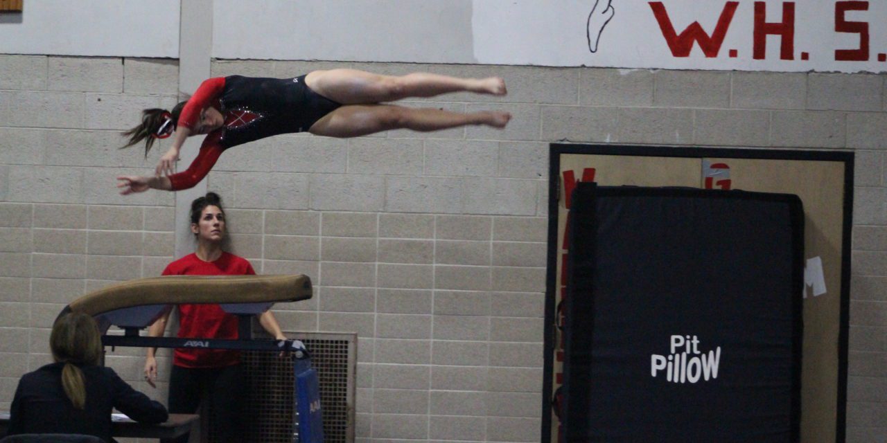 New high scores reached for Wakefield gymnasts