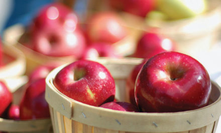Apple Festival still impressive after 28 years