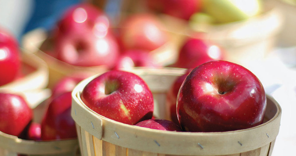 Apple Festival still impressive after 28 years