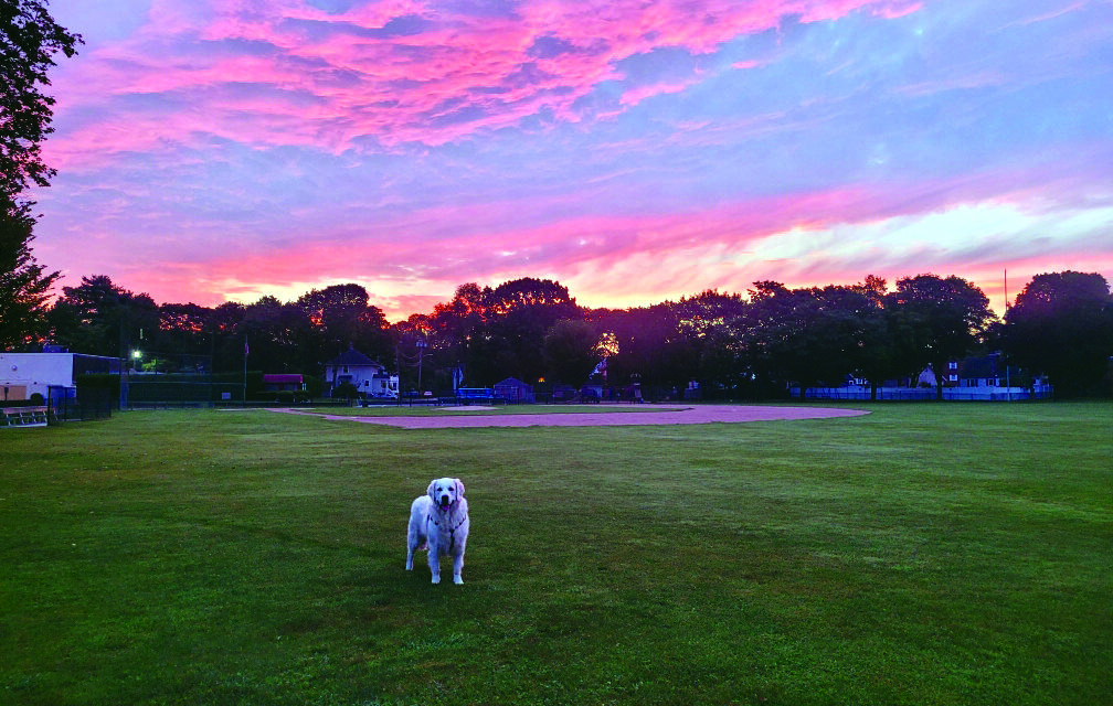 Early morning walk